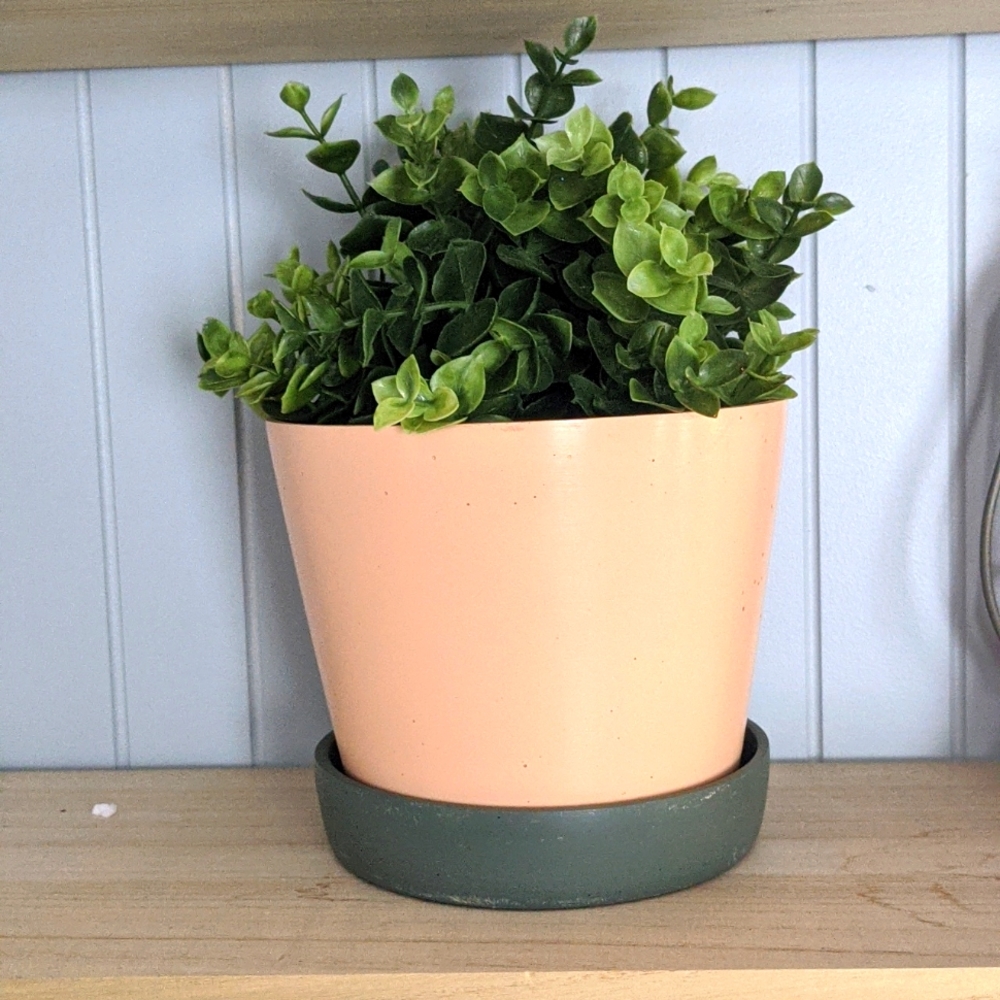 Capra design small Louise planter - salt & agave